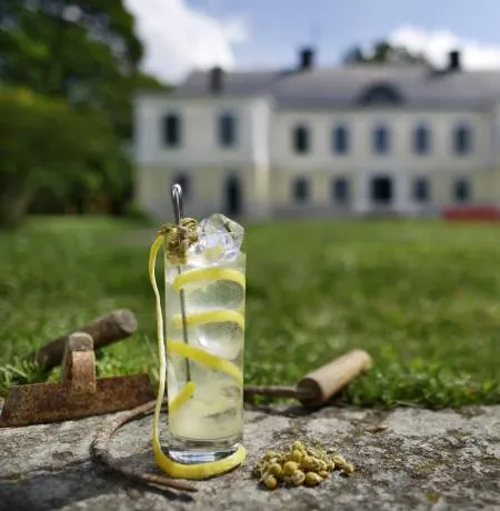 Alkoholfri Tom Collins