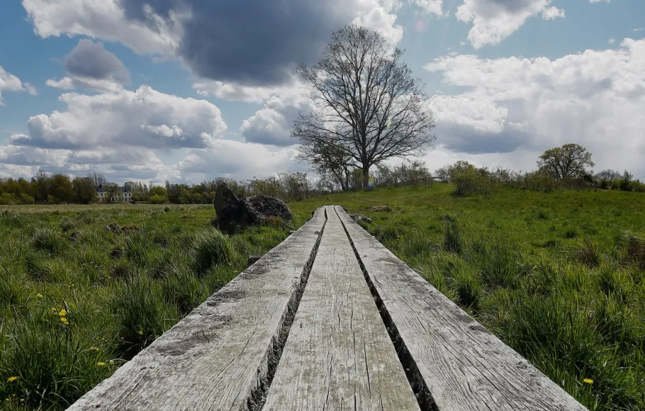 Vägen till förändring börjar här
