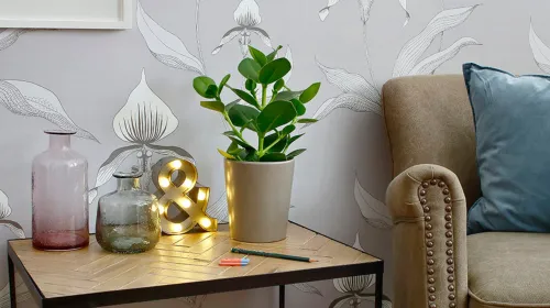 rehabcenter jönköping